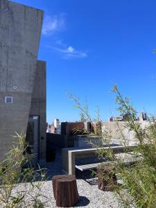 Confortable y Minimalista NUEVO