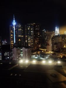 Robertson Residence City views