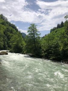 Kaledome Eco Mountain Resort