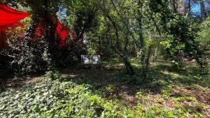 Chalets LeLoft au dessus des Pins : photos des chambres