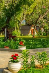 Nest Beach Bungalows Datça