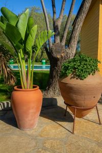 Nest Beach Bungalows Datça