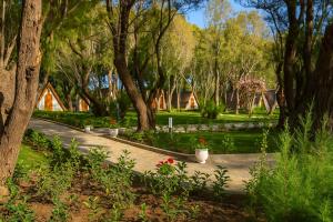 Nest Beach Bungalows Datça