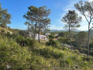 Son Roca Ribes Guest House