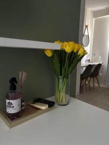 Flat studio na praia de Boa Viagem