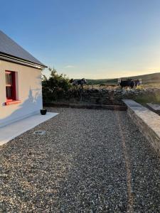 Dun Aengus Cottage on the Cliffs of Moher