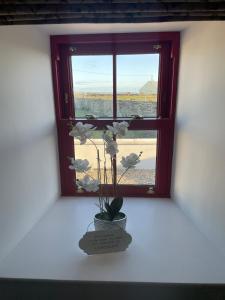 Dun Aengus Cottage on the Cliffs of Moher