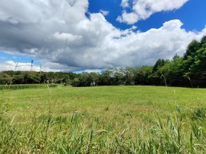 Kitakaruizawa Morino Bessou NO7