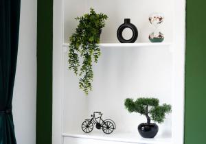 Studio flat in Dundee