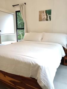 Santa Teresa Manzanillo Walk to Beach, New Home, Center of Tranquil Town