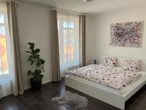 Apartment Husova