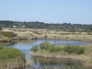 Maisons de vacances A cote des plages et des marais salants de Guerande : photos des chambres