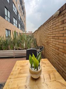 TERRAZA PRIVADa ILUMINACION VENTILACION WIFI