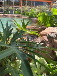 Pousada Paraíso do Sol