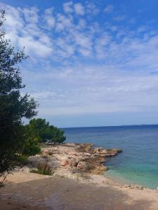 Apartment Kostajnsek