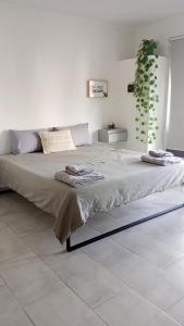 Pisadas II Rivadavia 532