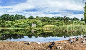 Las Calas A by Villas Rivero