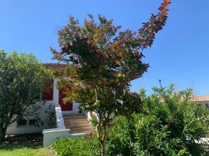 Maisons de vacances La villa Jeanne- Charmante maison avec tres belle terrasse couverte a 10 min du centre de Salies de Bearn : photos des chambres