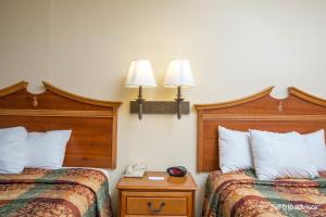 One-Bedroom Queen Suite with Sofa Bed room in Country Inn & Suites by Radisson Williamsburg East (Busch Gardens) VA