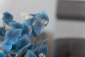 Smart Rooms Apartments img24