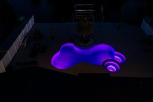 Tampa Clearwater BBQ, Pool, Spa, Canal