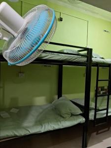Homestay Dormitory