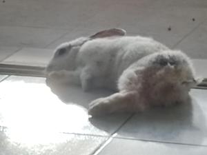 Departamento Panorámico