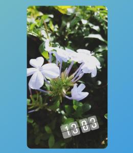 Departamento Panorámico