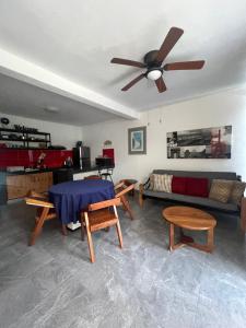 Centrico Departamento 201