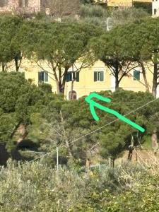 Bilocale con giardino a Pomaia img10