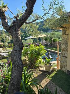 Appartements Gite SPA Piscine Cevennes : photos des chambres