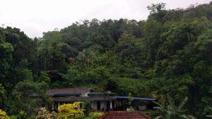 Salmanel Resort Ayagama - Rathnapura