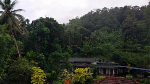 Salmanel Resort Ayagama - Rathnapura
