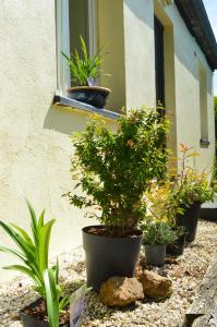 Charming Gite in the Normandy countryside