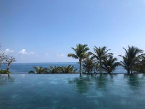 Orson Hotel & Resort Con Dao - Snorkeling & Turtle Release Tour