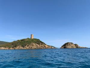 Appartements Appartement 2 chambres 2 salles de bains haute ville : photos des chambres