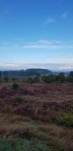 Knus huisje in het bos
