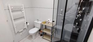 Appartements Le Petit Recoin : Appartement 1 Chambre