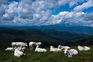 Tuscany, Loro Ciuffenna Mountain Bike&walking