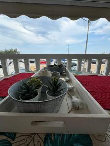 Seaside House