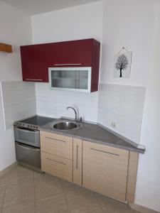 Olive garden Pag apartment