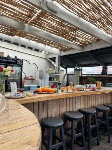 Green Elephant Backpackers