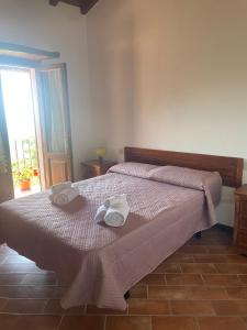 Azienda Agrituristica Il Cerreto