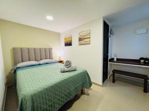 Casa Jacaranda Business Lodge 7 Suites Cowork Terrace