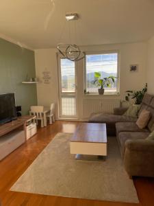 Roxy Sihoť Apartment