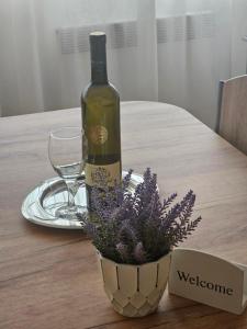 Apartman SAVINA