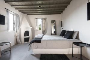 Mykonos home Delphini