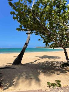 House with pool 300 m from Las Ballenas beach