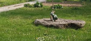 Ubytovanie Gerlachov - Anna Bajzikova