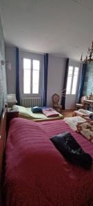 Sejours chez l'habitant Chez Virginie - chambre du Bourg : photos des chambres